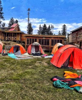 Camping