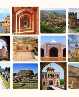 Culture & Heritage Visits
