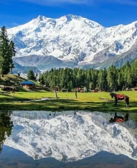 Fairy Meadows